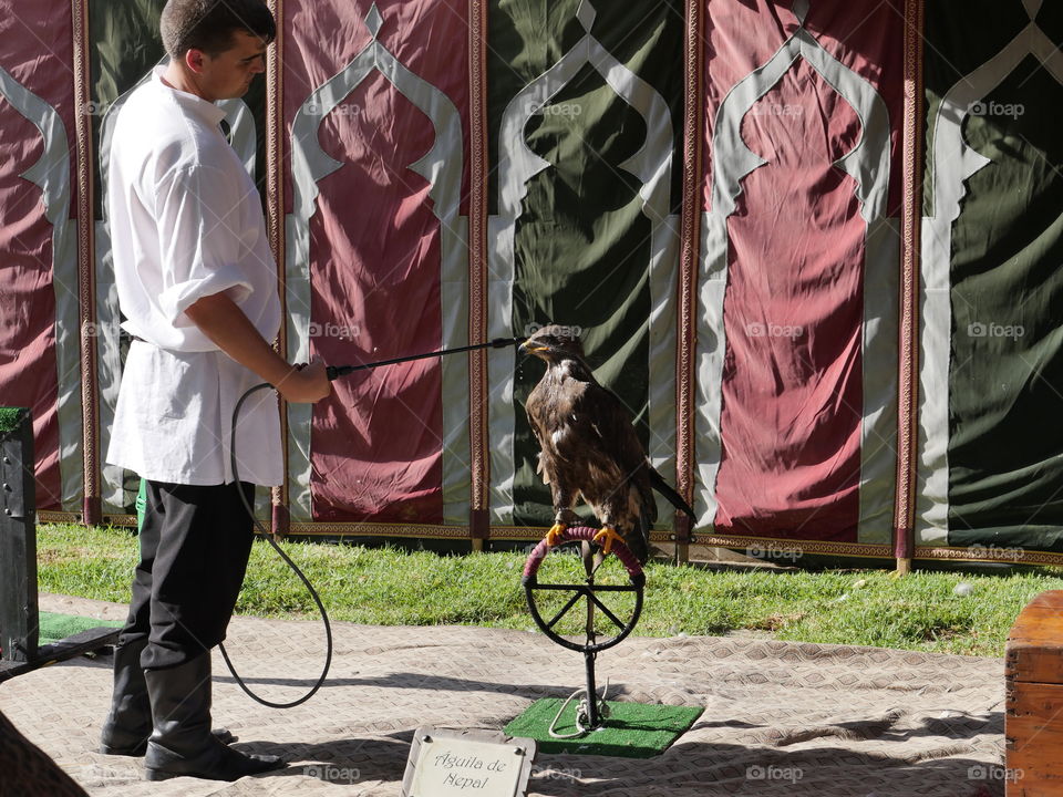 Man bathing bird