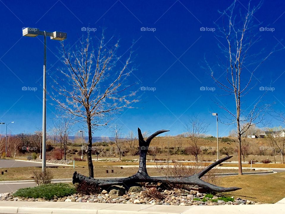 Giant antler shed art