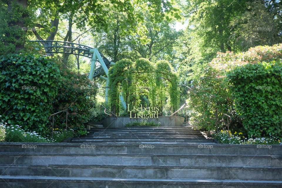 Wood, Tree, Garden, Leaf, Nature