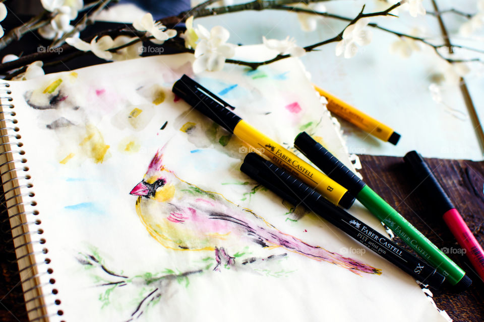 Artist workshop spring table with flowers and Faber-Castell PITT artists pens in action on sketchbook with sketch of female cardinal using PITT pen techniques smudging, water (watercolor) and sketch tranquil and creative life conceptual photography