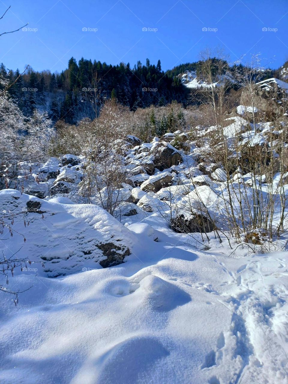 Snow-covered Rocks on a Mountain