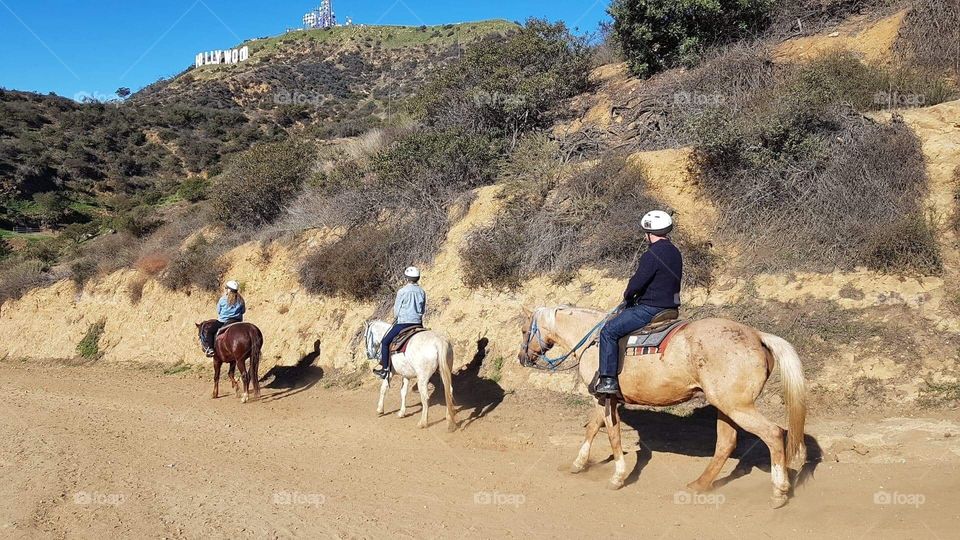 Awesome horse riding right next to the Hollywood Sign 