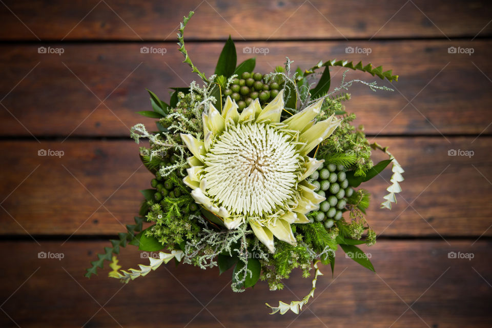 White and green - image of white king protea flower with greenery on wooden background