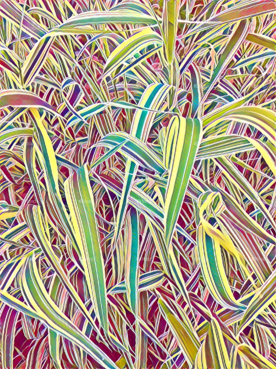 Grass in modern colirs.