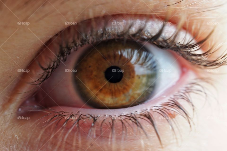 Detail of human eye