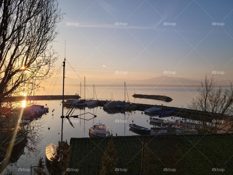 dawn lake landscape view