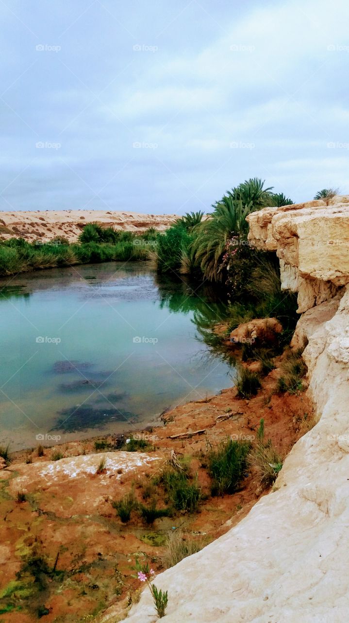 Wargnoun river in the South East of Tighmert,a village in the region of Guelmim,Morocco