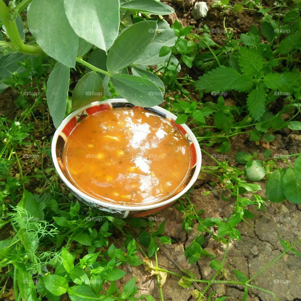 Moroccan soup.