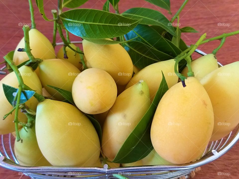 plum mango. gandaria.