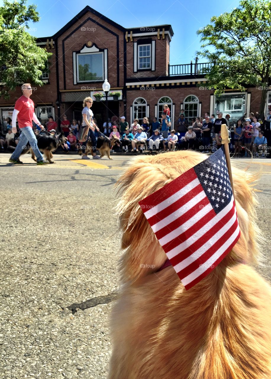 Flag, Festival, People, Drag Race, Celebration