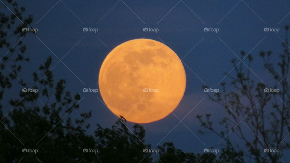 Full Moon silhouette effect