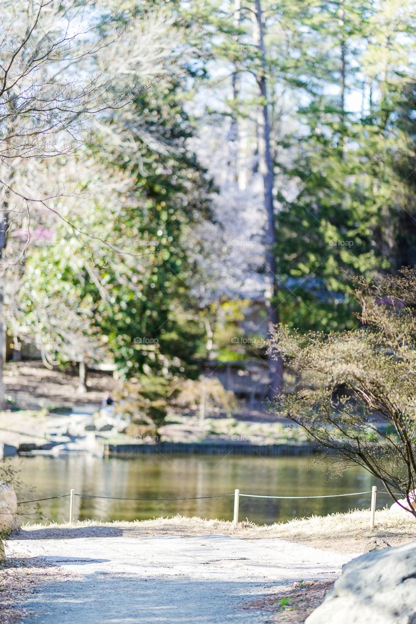 Beautiful park with near by the Lake.