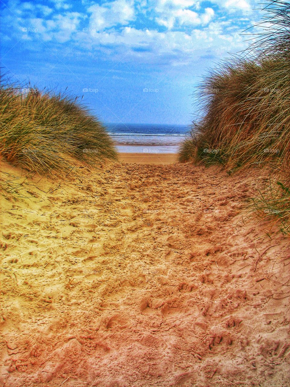 Path To The Beach. A sandy path through sand dunes to the beach on a sunny day.