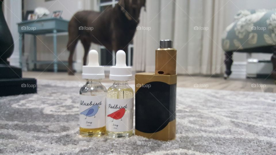 Dogs and Vape.