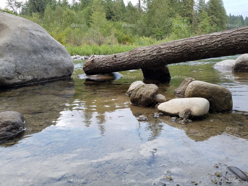 Log creek