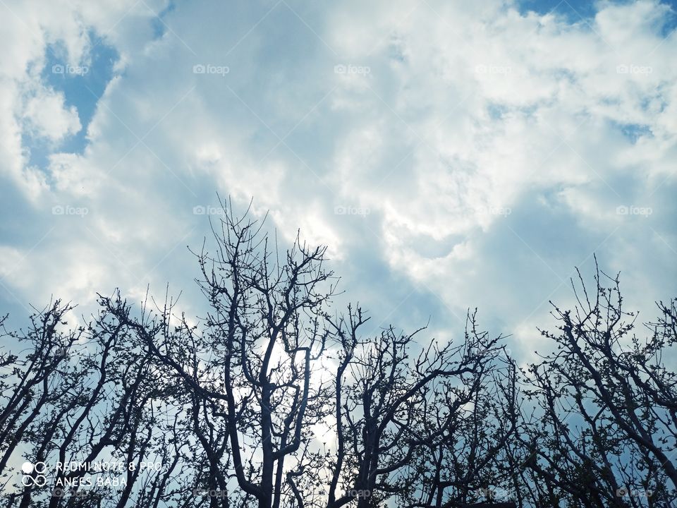 Snap for the Best Wall Paper