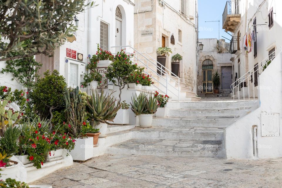 A beautiful view of growing flowers in pots standing on the street of the white city of Ostuni in Italy on a summer day, close-up side view. Urban plants concept.