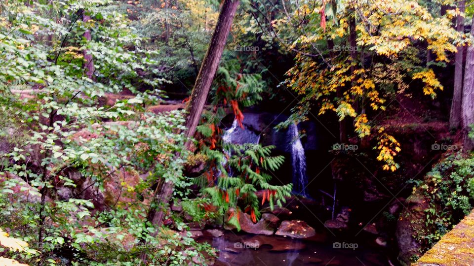 waterfall in fall foliage