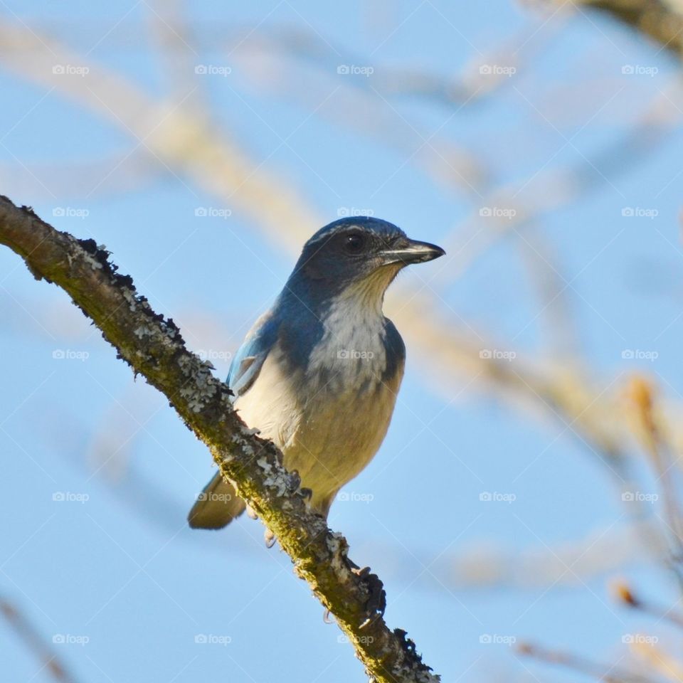 Bird perching on branch