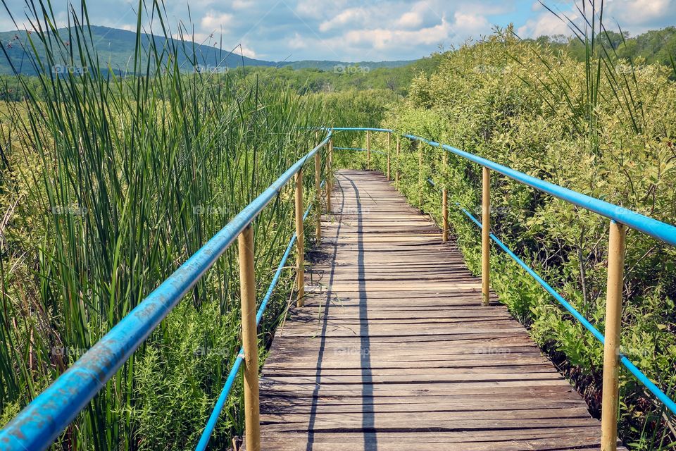 Beautiful view of wooden bridge over the Ropotamo  River, Bulgaria, Europe 