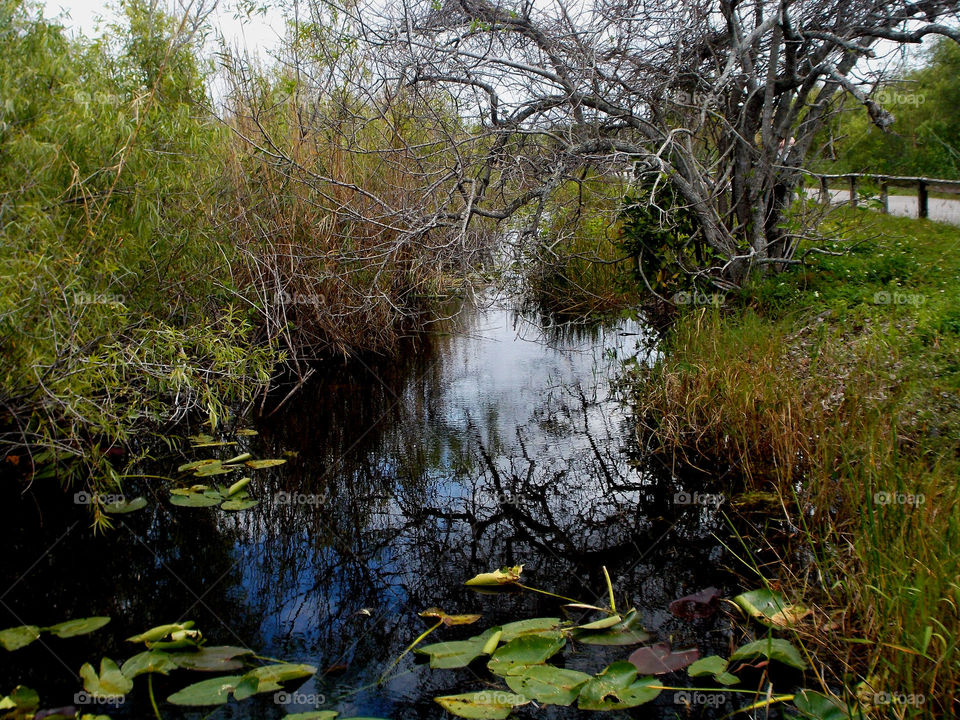 Key of green. Springtime 