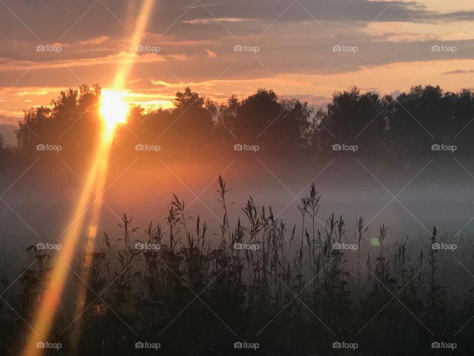 Memory view hand happy flower beauty nature form shape day part green plant man human body Mountain hills fog foggy milky travel wild forest heaven top Red rest view home outdoor outside