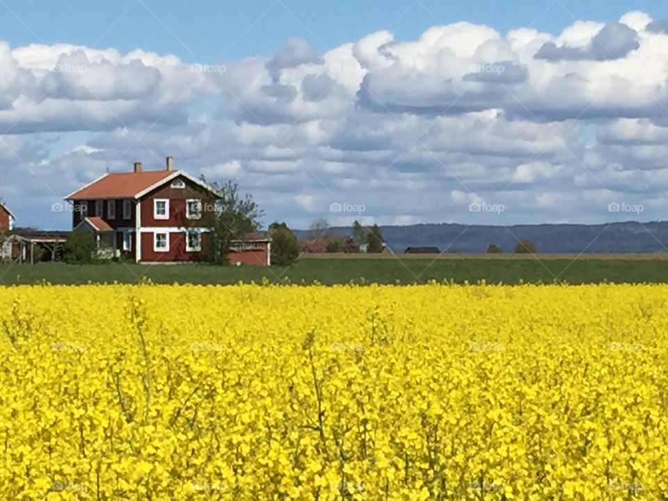 House in a field against cloudy sky