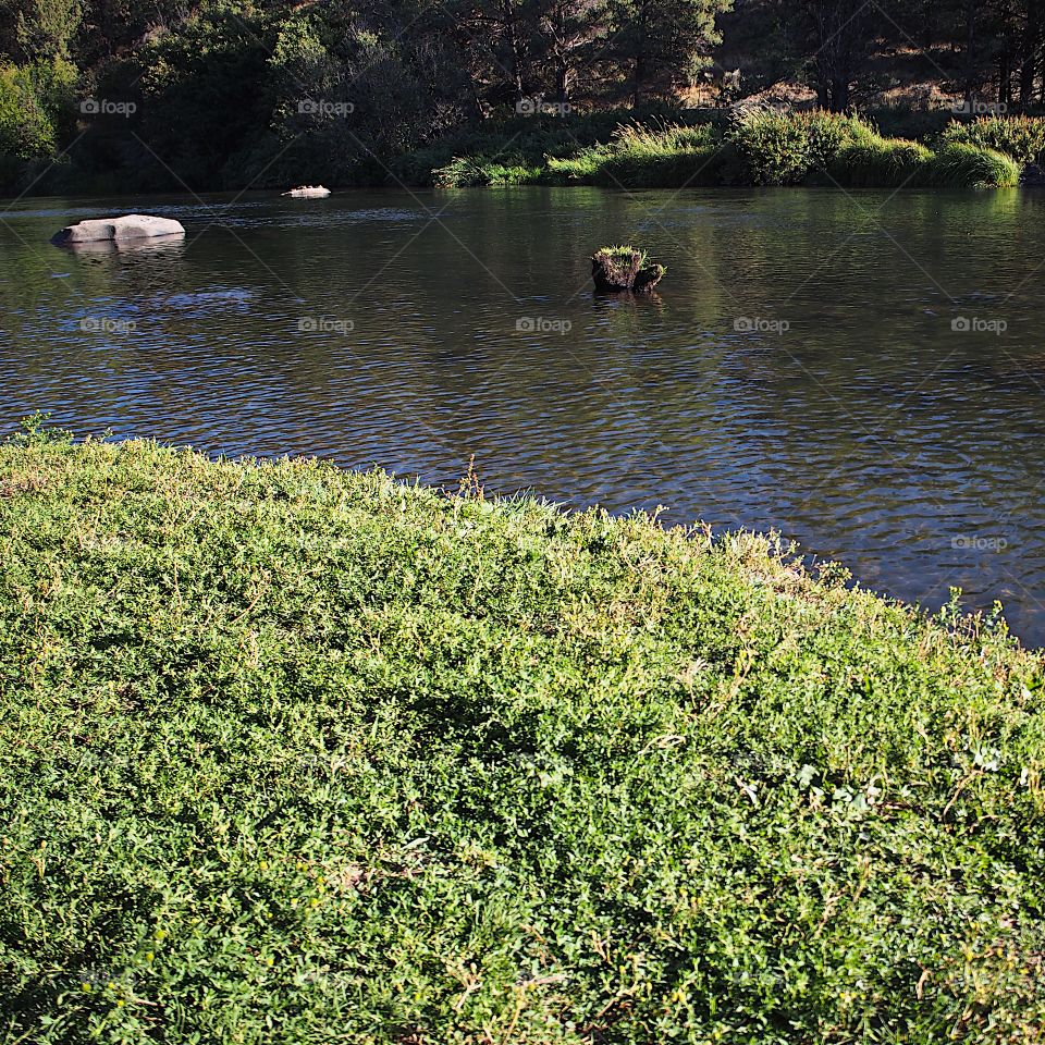 The serene Deschutes River in Central Oregon on a sunny summer day. 