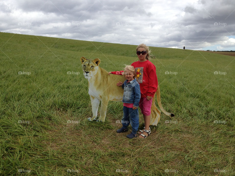grandchildren lion zoo ystad sweden cold summerday ystad sweden by majapaja