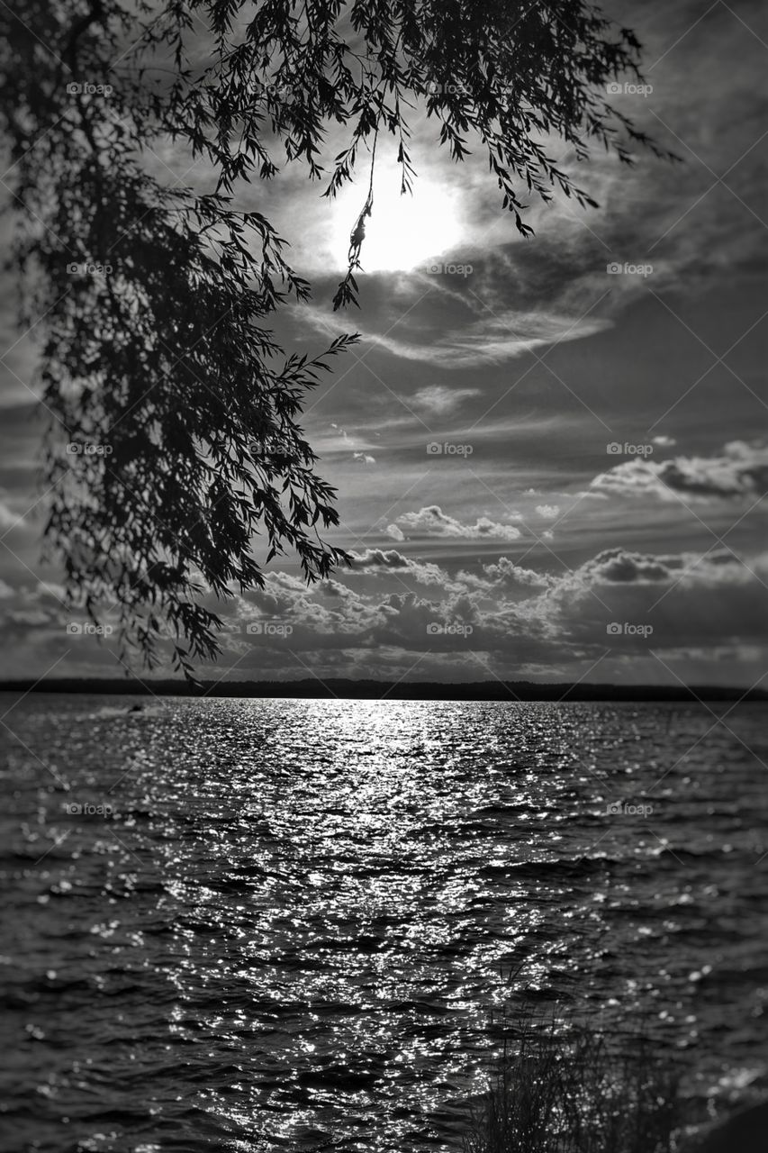 Magic night and sea wave