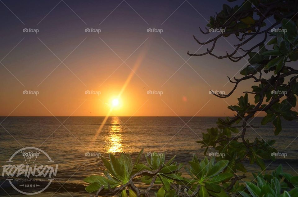 Island sunset 