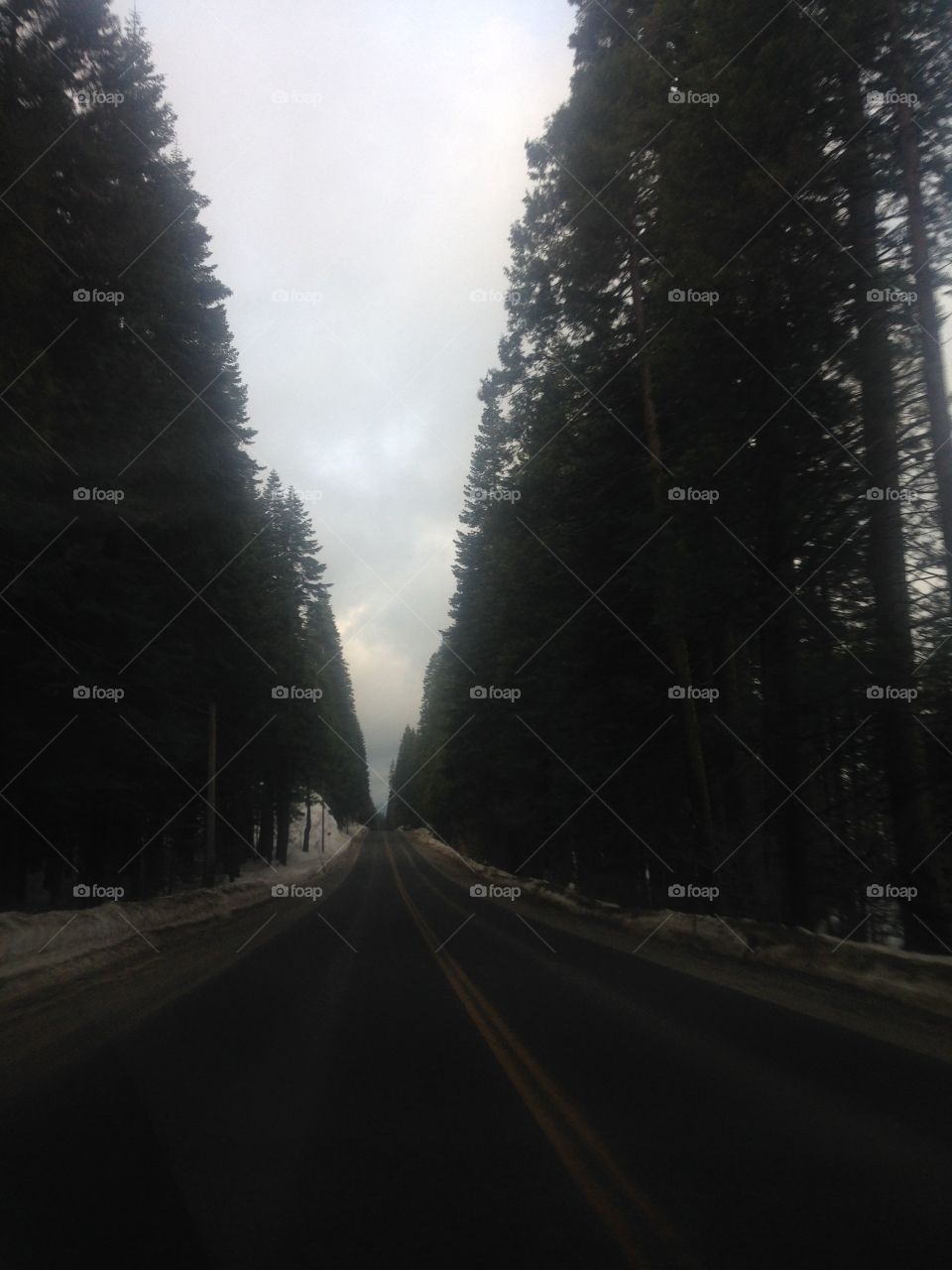 Peaceful drive through the mountains after a snow storm. 
