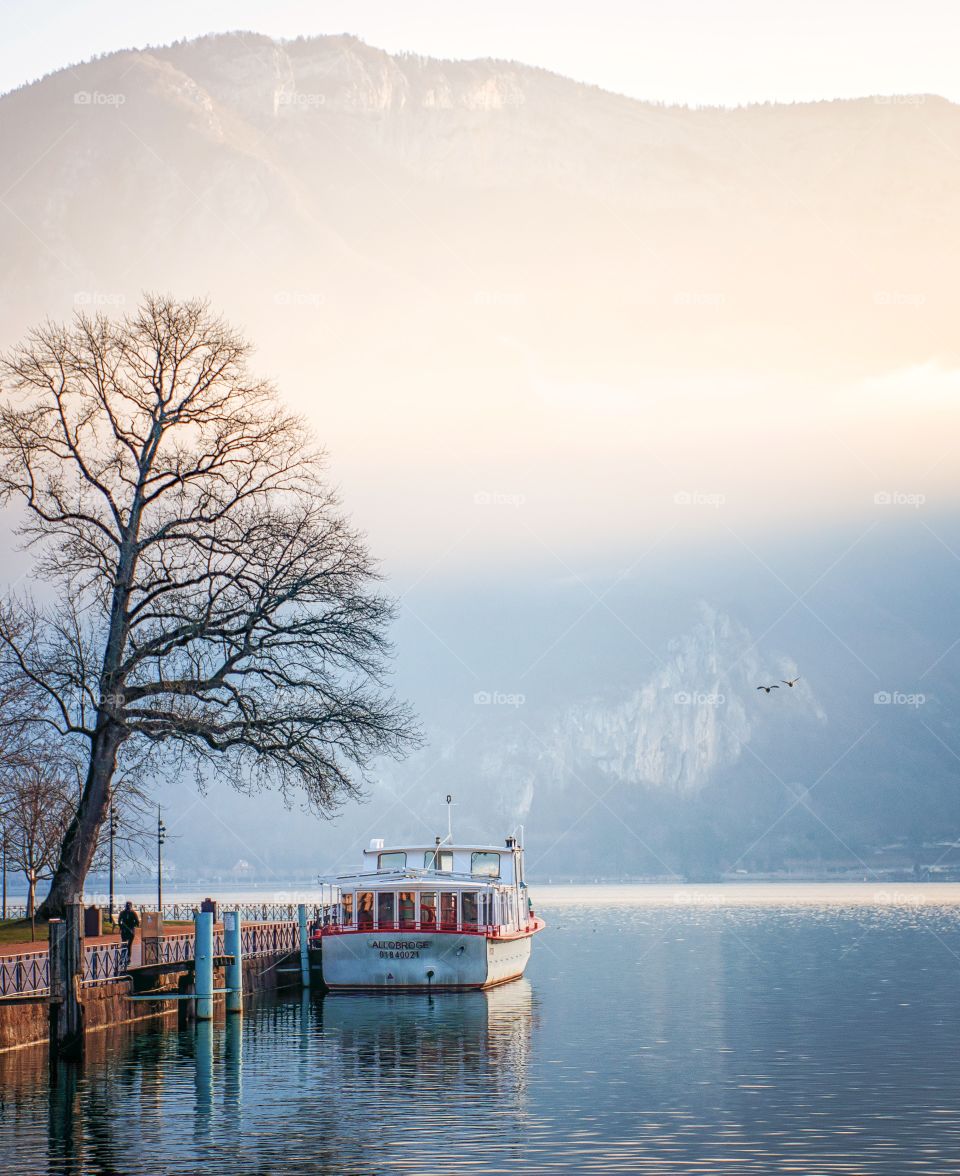 morning  by the lake