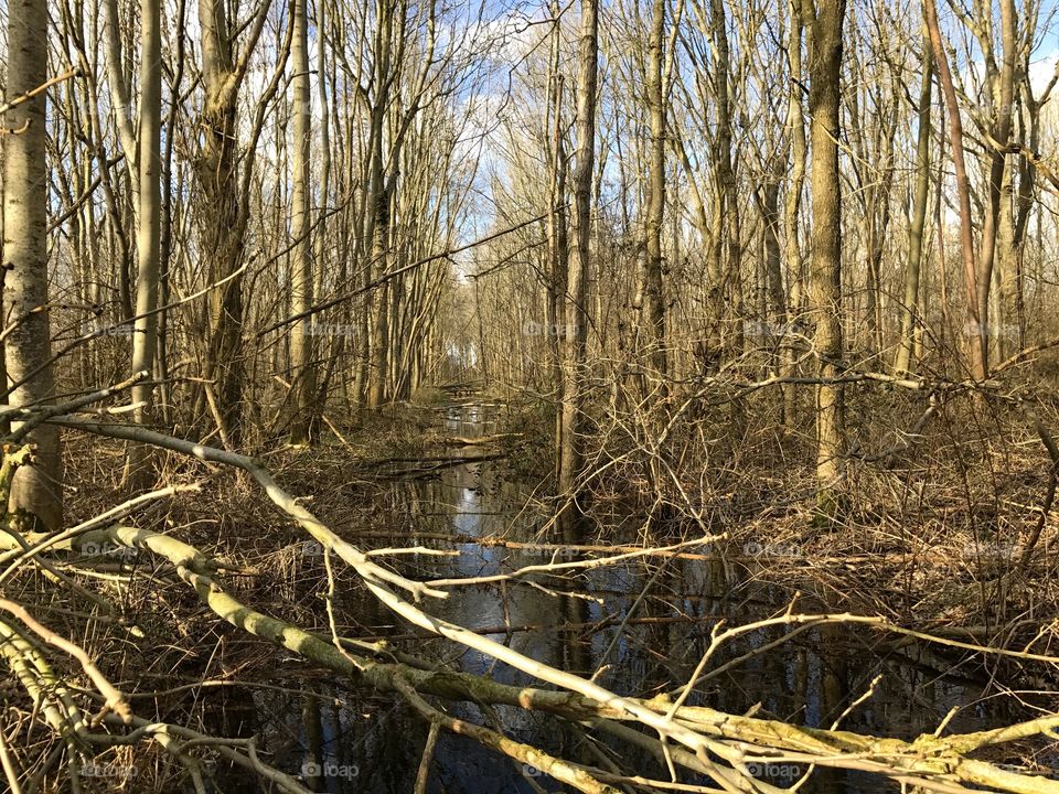 Walking in the countryside.