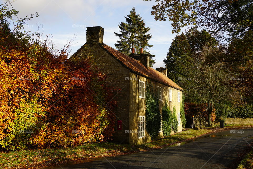 Beautiful Autumn Sunshine natural light 