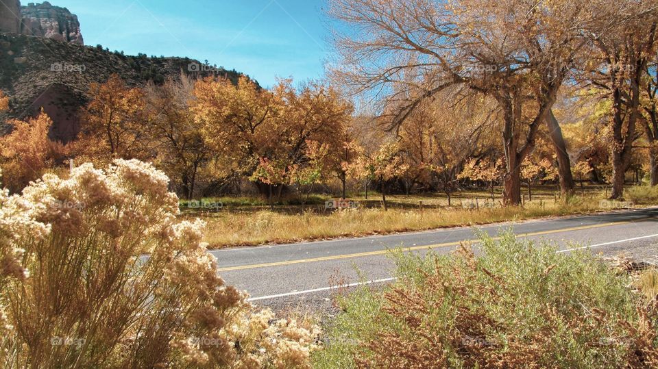 Road through Capitol Reef