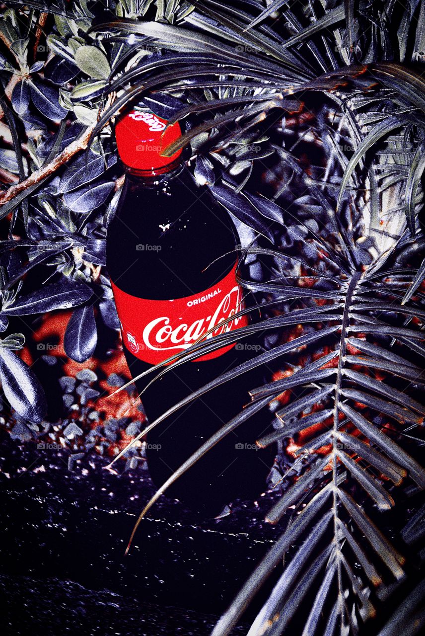 Coca-Cola Morocco