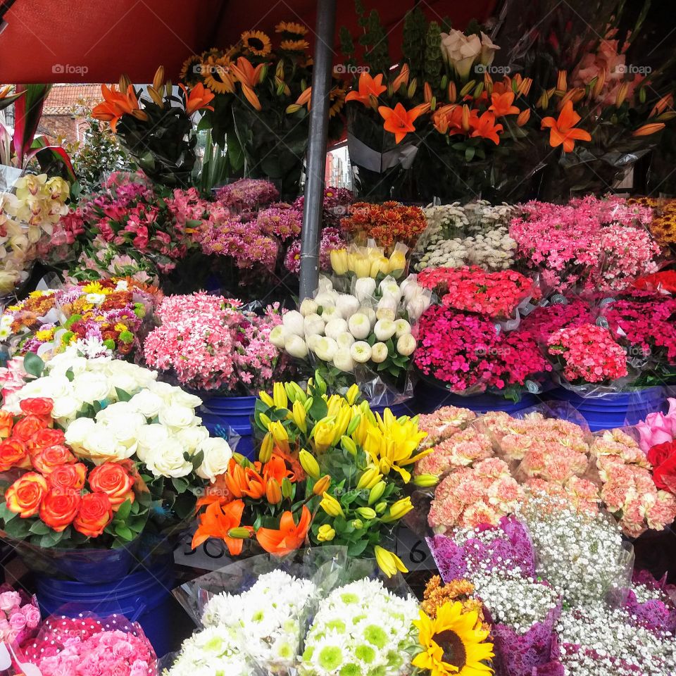 Hermosas Flores, Colores y Olores en las calles de Bogota, Colombia