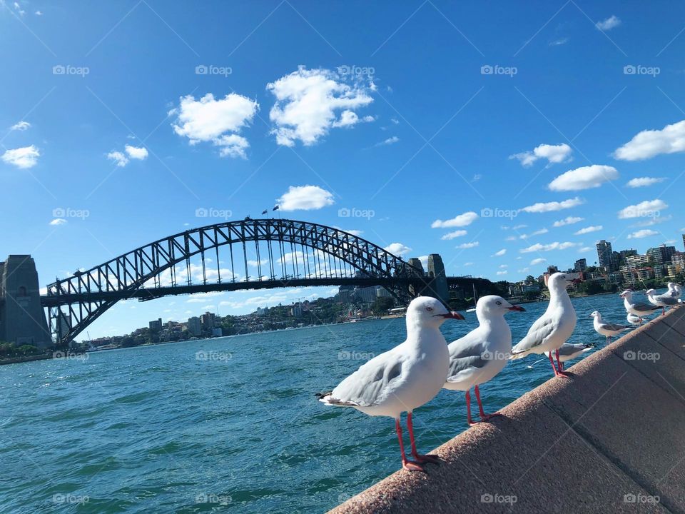 Sydney 