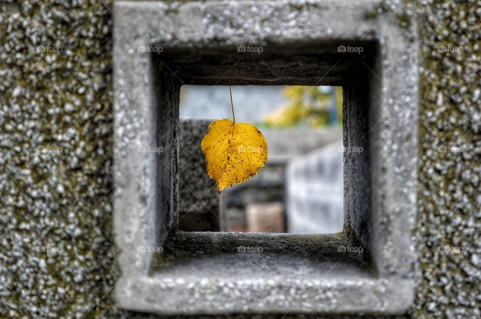 Wall, Old, Window, Picture Frame, Stone
