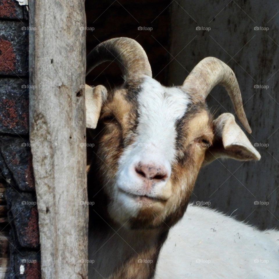 Here's looking at you kid