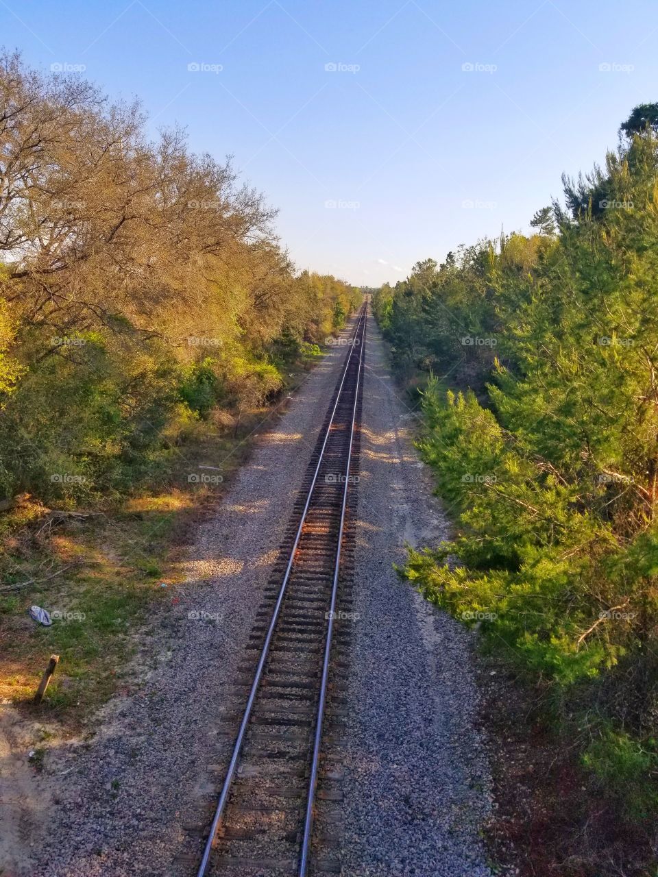Railroad Tracks Through Nature