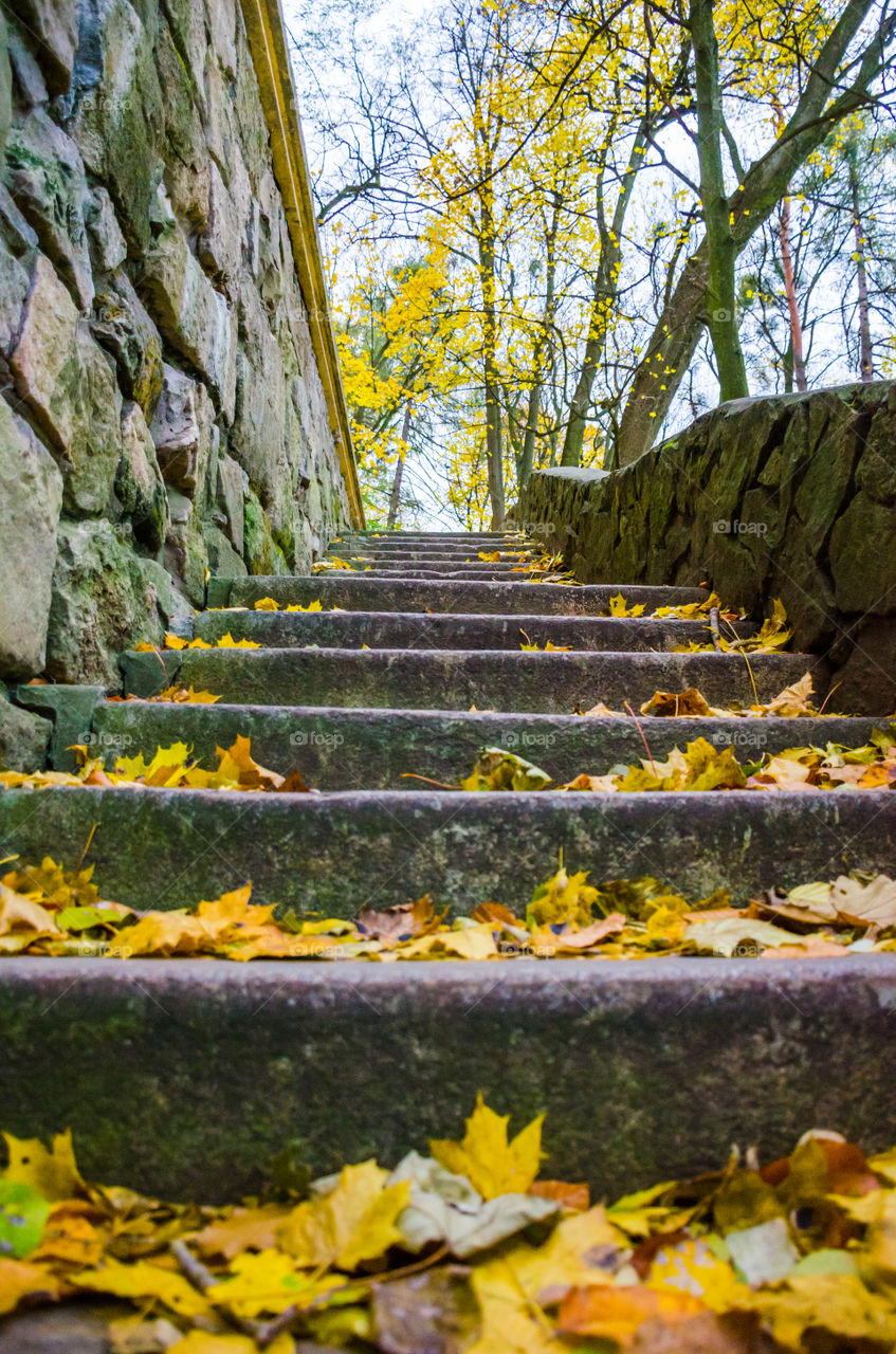 Colour Stories: Yellow