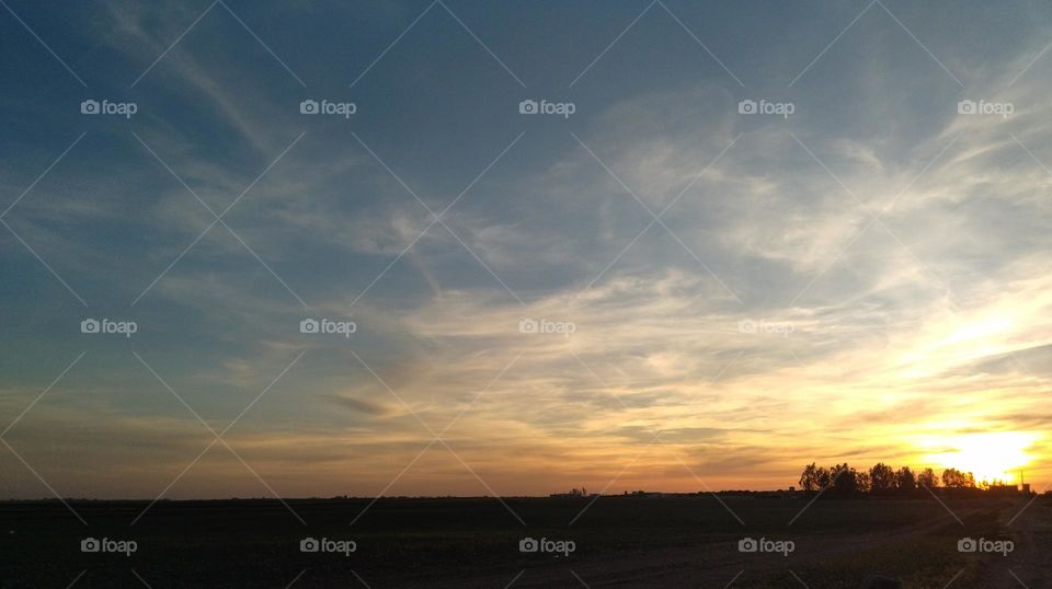 sunset and field