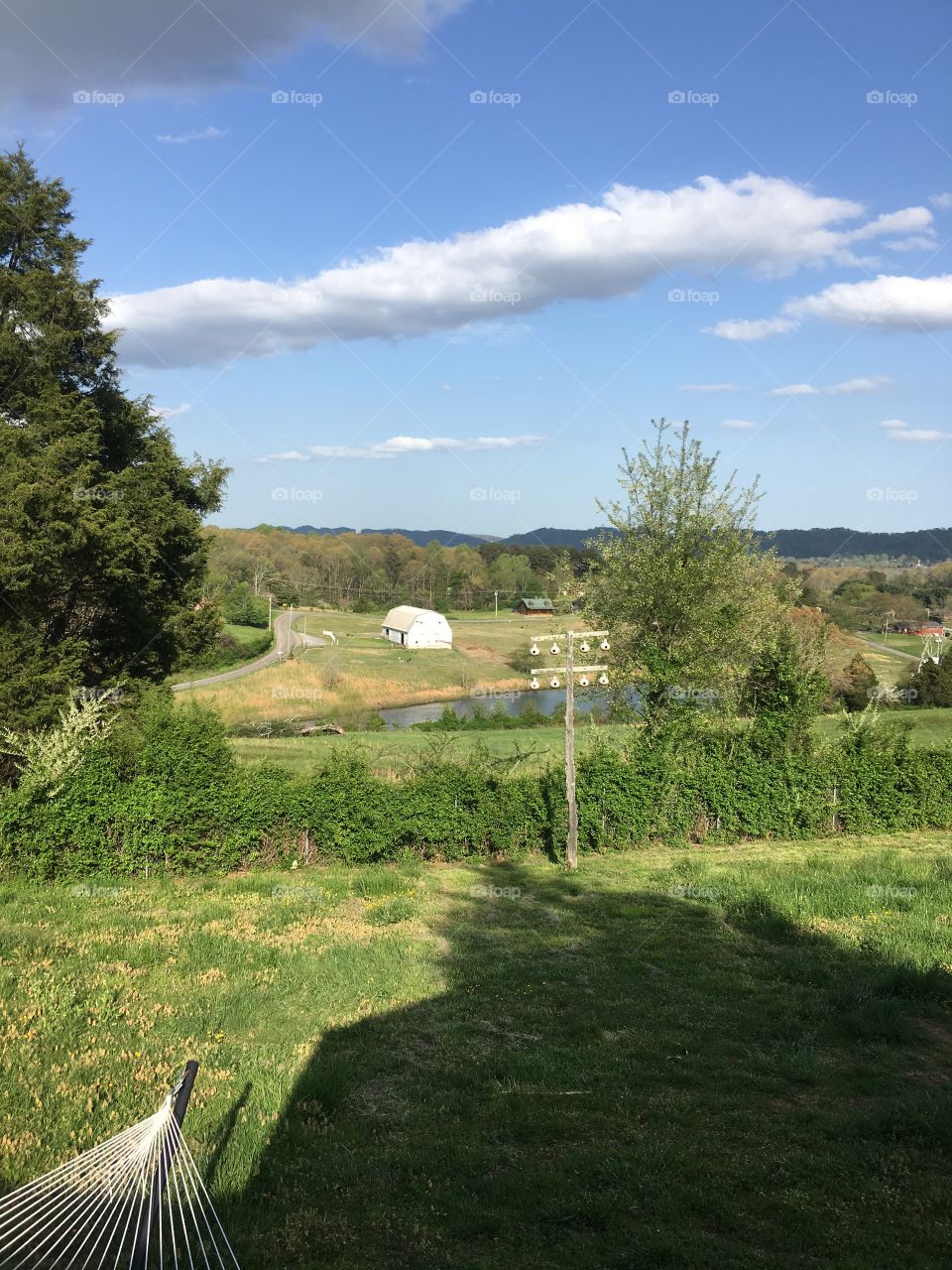 Beautiful spring day!