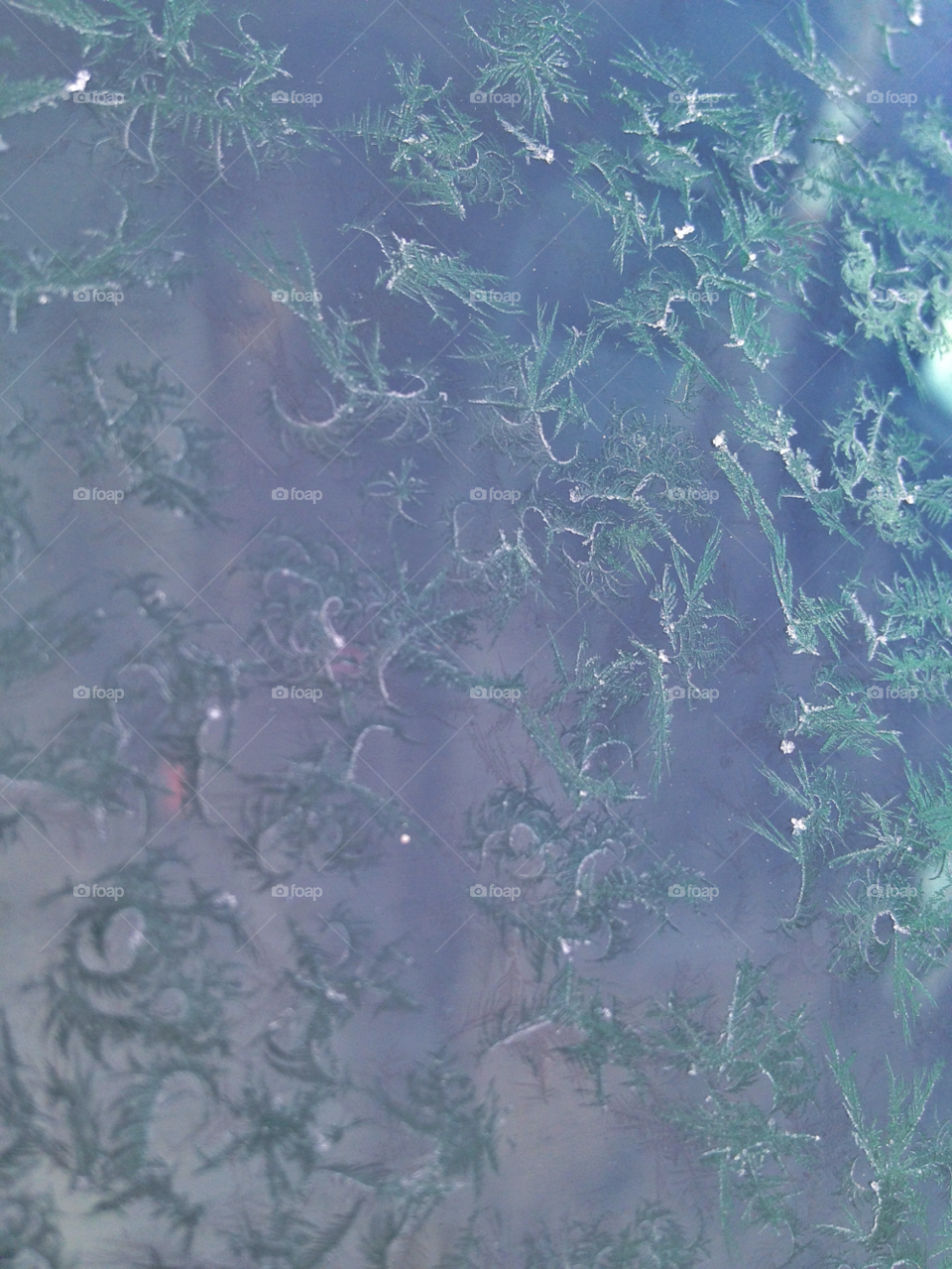 snow winter ice cold by somebeach