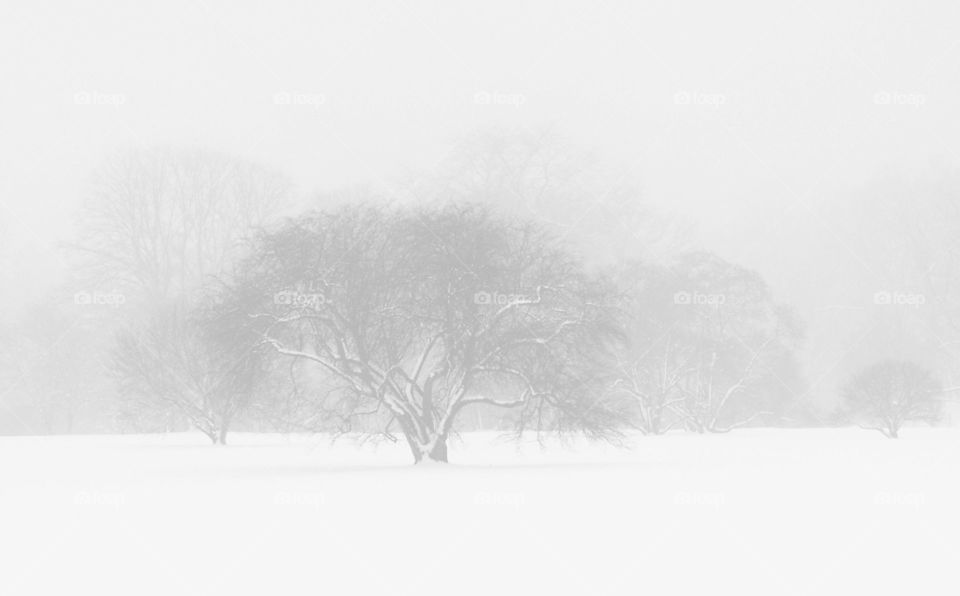 Fog and snow magic