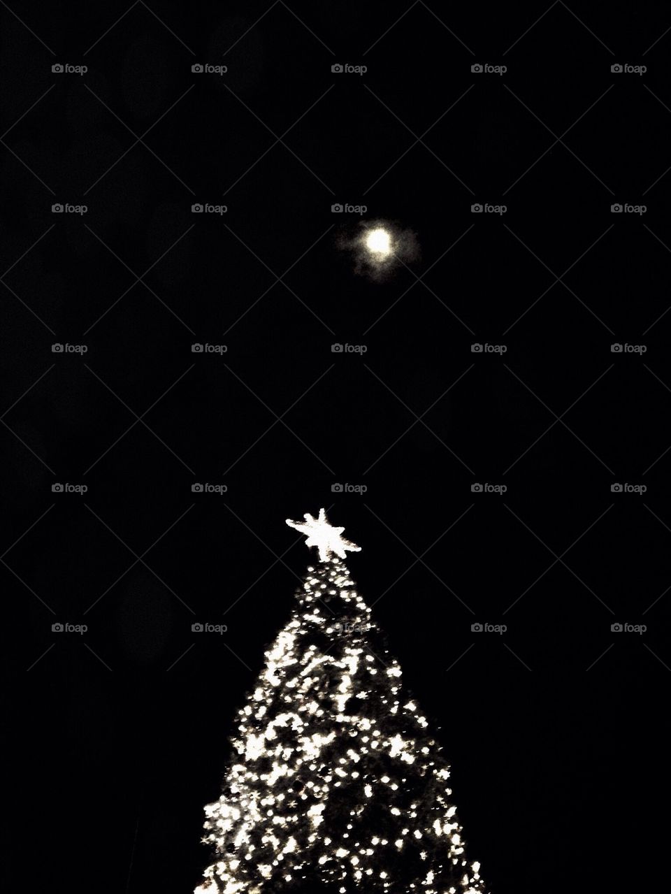 tree christmas mexico moon by luisfo