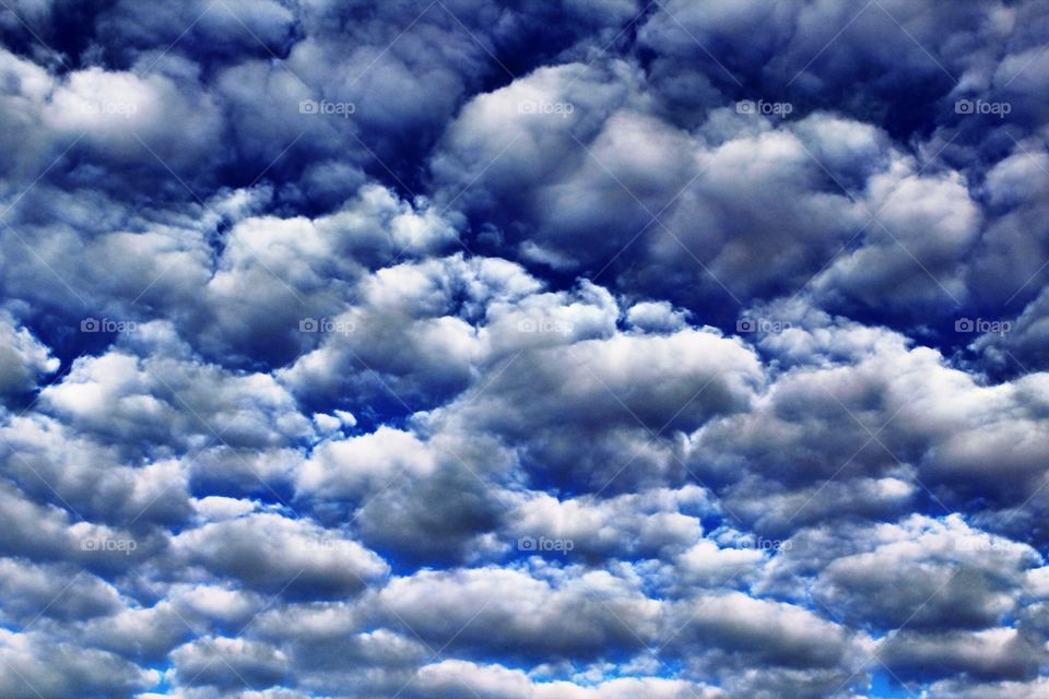 No Person, Nature, Weather, Summer, Fair Weather