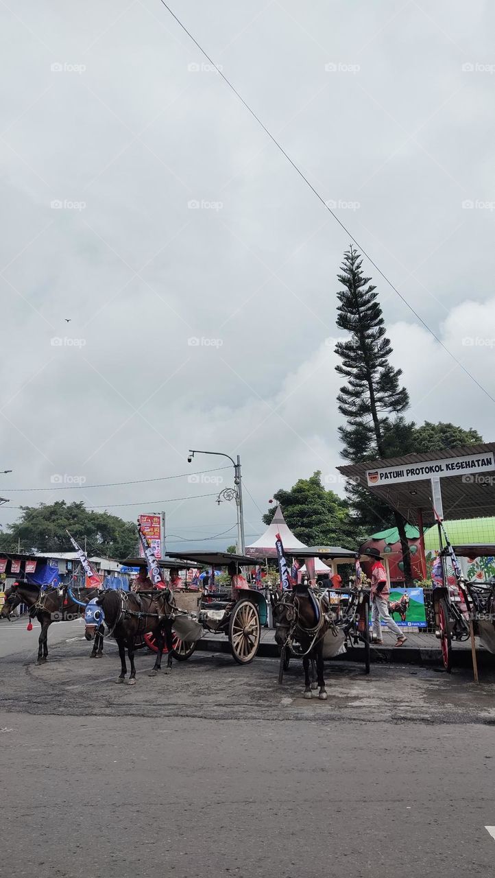 ada delman di kota Batu